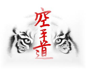 martial arts karate image